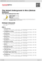 Digitální booklet (A4) The Velvet Underground & Nico [Deluxe Edition]