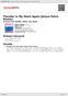 Digitální booklet (A4) Thunder In My Heart Again [Jolyon Petch Remix]