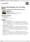 Digitální booklet (A4) Brahms: Alto Rhapsody, Op. 53 & Other Works