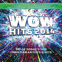 Různí interpreti – WOW Hits 2014