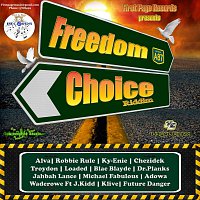 Různí interpreti – Freedom Choice Riddim