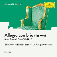 Elly Ney, Wilhelm Stross, Ludwig Hoelscher – Brahms: Piano Trio No. 1 In B, Op. 8: I. Allegro con brio