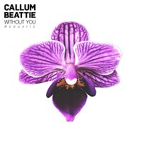 Callum Beattie – Without You [Acoustic Version]