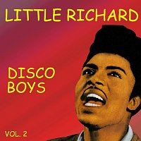Disco Boys Vol.  2