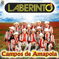 Grupo Laberinto – Campos De Amapola