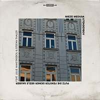 Mieze Medusa & Tenderboy, Stefan Thaler, Julie Anastassiou – Putz die Fenster deiner Seele sauber (feat. Stefan Thaler & Julie Anastassiou)