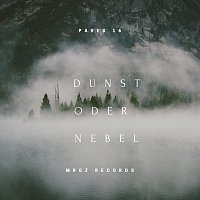 Paves 16 – Dunst oder Nebel