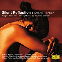 Přední strana obalu CD Mirror of Silence - Tranquil Classics