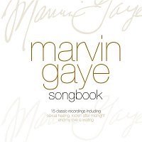 Marvin Gaye – The Best Of