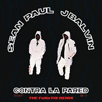 Sean Paul, J. Balvin – Contra La Pared [The FaNaTiX Remix]