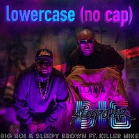 Big Boi, Sleepy Brown, Killer Mike – Lower Case (no cap)