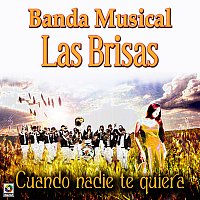 Banda Musical las Brisas – Cuando Nadie Te Quiera