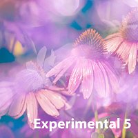 Sandro – Experimental 5