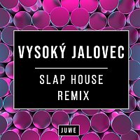 Vysoký Jalovec (Slap House Remix)