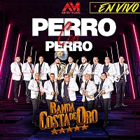 Banda Costa De Oro – Perro Con Perro [En Vivo]