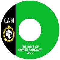 Různí interpreti – The Boys Of Cameo Parkway Vol. 2