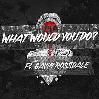 Seether, Gavin Rossdale – What Would You Do?