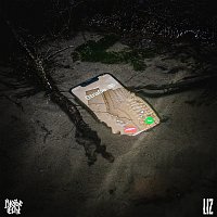 LIZ – 3 Gramm