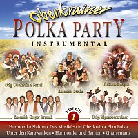 Různí interpreti – Oberkrainer Polka Party - Folge 1 - Instrumental