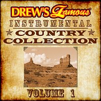 The Hit Crew – Drew's Famous Instrumental Country Collection, Vol. 1
