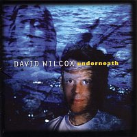 David Wilcox – Underneath