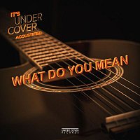Under Cover Collective – What Do You Mean