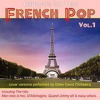 Přední strana obalu CD Tribute To The French Pop - Vol. 1