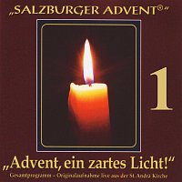 Různí interpreti – Salzburger Advent: Advent, ein zartes Licht! Folge 1