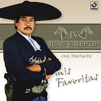 Juan Valentin – Mis Favoritas