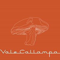 Café Tacvba – Vale Callampa