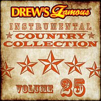The Hit Crew – Drew's Famous Instrumental Country Collection [Vol. 25]