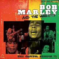 Bob Marley & The Wailers – Stir It Up [Live]