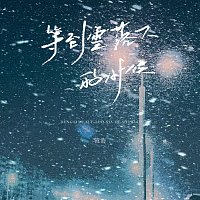 Přední strana obalu CD ????????