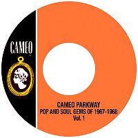 Přední strana obalu CD Cameo Parkway Pop And Soul Gems  of 1967-1968 Vol.1