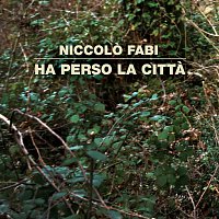 Niccolo Fabi – Ha Perso La Citta