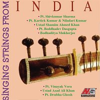 Various  Artists – Singing Strings From India
