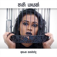 Asanka Sahabandu – Thani Yaayak