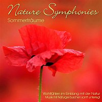 Dave Miller – Nature Symphonies: Sommertraume
