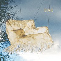 Oak – Building Steam