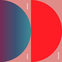 Přední strana obalu CD DISCO DISAGIO