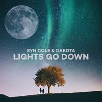 Syn Cole, Dakota – Lights Go Down