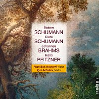 Přední strana obalu CD Schumann, Brahms, Pfitzner