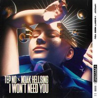 Tep No x Noak Hellsing – I Won’t Need You (Extended Mix)
