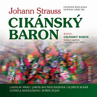 Různí interpreti – Cikánský baron CD