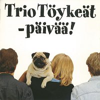 Trio Toykeat – Paivaa!