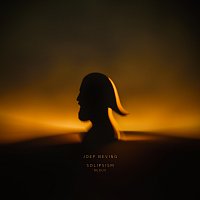 Joep Beving – Sleeping Lotus [redux]