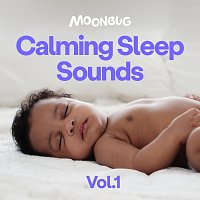 Dreamy Baby Music – Calming Sleep Sounds Vol. 1