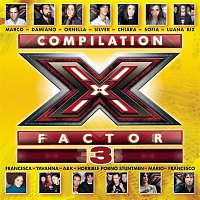 Various  Artists – X Factor 3 Compilation
