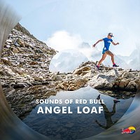 Přední strana obalu CD Angel Loaf