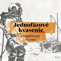 Jednofázové kvasenie – V budúcom živote